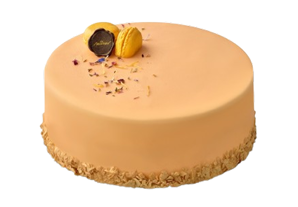 ORANGE CHOCO TORTA 1950g
